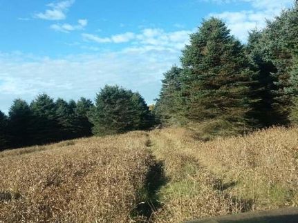 Recreational Property in Clarion County, Pennsylvania