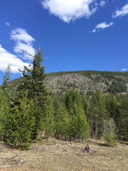 Farm Property in Boundary County, Idaho