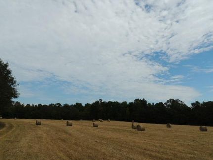 Recreational Property in Coweta County, Georgia