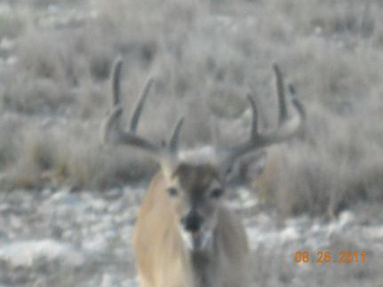 Farm Property in Edwards County, Texas