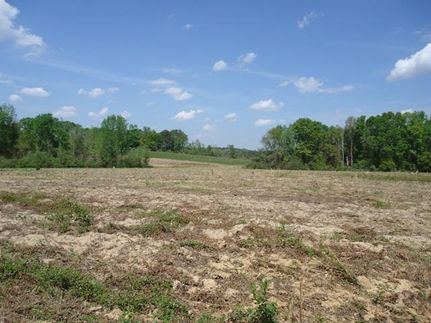 Ranch Property in Coffee County, Alabama