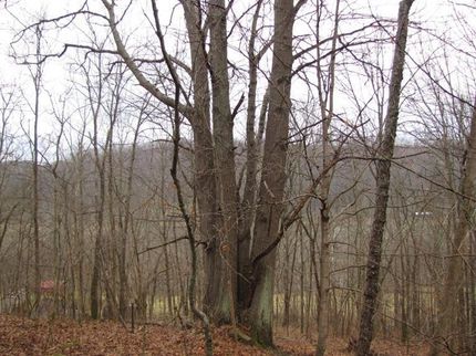 Farm Property in Brown County, Ohio