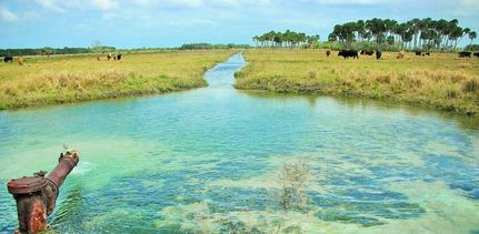 Recreational Property in Indian River County, Florida