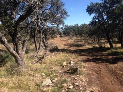 Property in Mason County, Texas