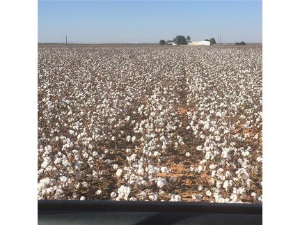 Farm Property in Gaines County, Texas