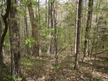 Farm Property in Pontotoc County, Mississippi