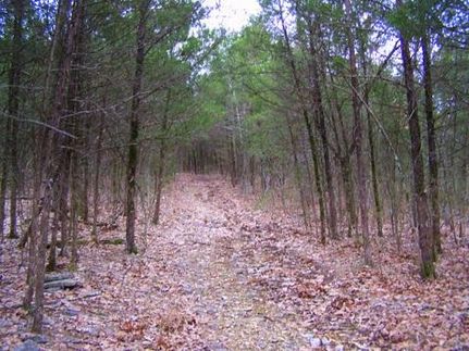 Farm Property in Sharp County, Arkansas
