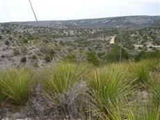 Ranch Property in Val Verde County, Texas