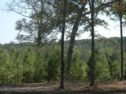 Farm Property in Anderson County, Texas