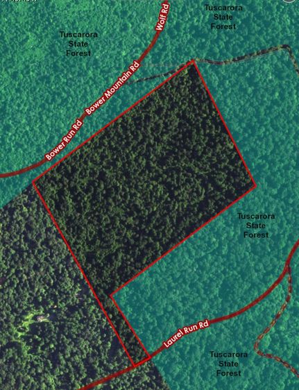 Recreational Property in Perry County, Pennsylvania
