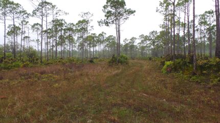 Property in Franklin County, Florida