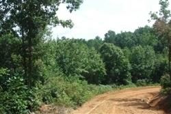 Farm Property in Wayne County, Tennessee