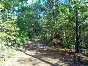 Farm Property in Lafayette County, Arkansas