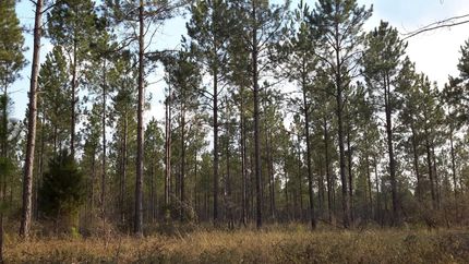 Ranch Property in Terrell County, Georgia