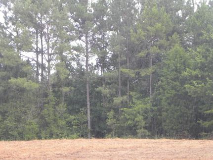 Farm Property in Crenshaw County, Alabama