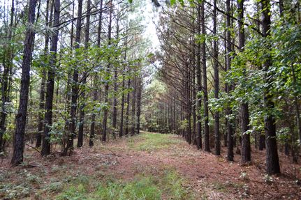 Farm Property in Montgomery County, Alabama