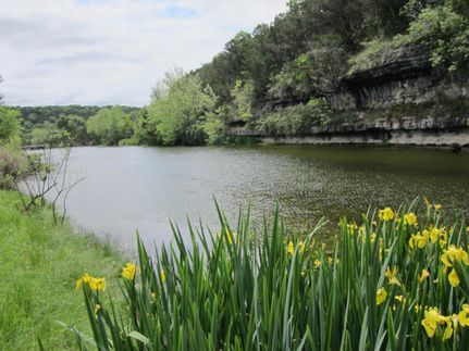 Farm Property in Hays County, Texas