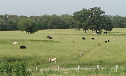 Farm Property in Van Zandt County, Texas