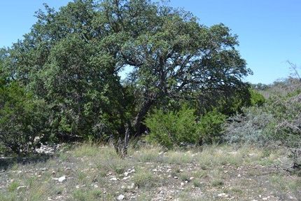 Farm Property in Edwards County, Texas