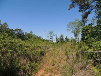 Property in Carroll County, Georgia