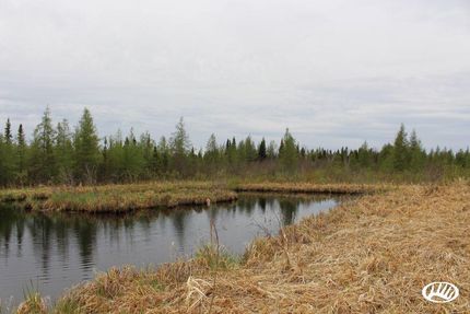 Farm Property in Koochiching County, Minnesota