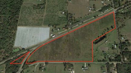 Timberland Property in Hillsborough County, Florida