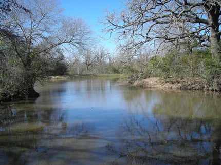 Farm Property in Grimes County, Texas