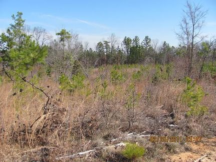 Farm Property in Union County, South Carolina