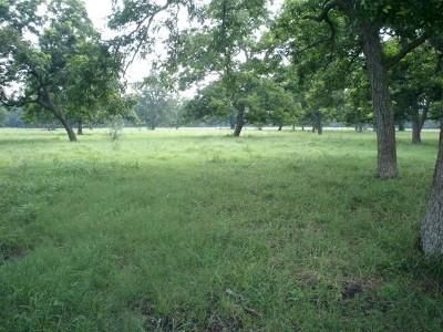 Farm Property in Wharton County, Texas