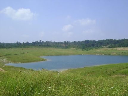 Ranch Property in Howard County, Arkansas