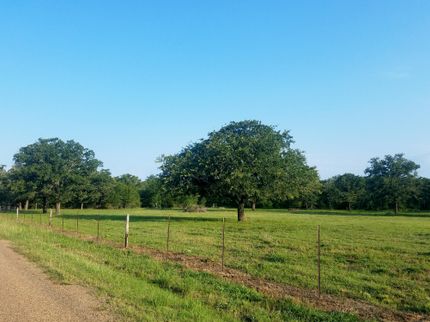 Undeveloped Land in Fayette County, Texas