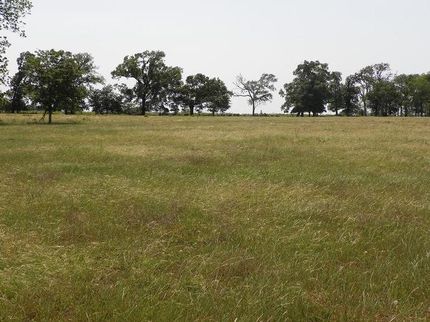 Property in Polk County, Texas