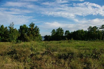 Property in Polk County, Texas