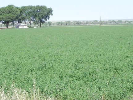Farm Property in Debaca County, New Mexico