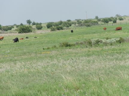 Ranch Property in Donley County, Texas