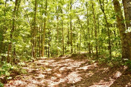 Farm Property in Chilton County, Alabama