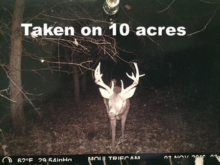 Property in Marion County, Illinois