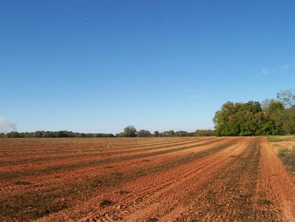 Farm Property in Sumter County, Georgia