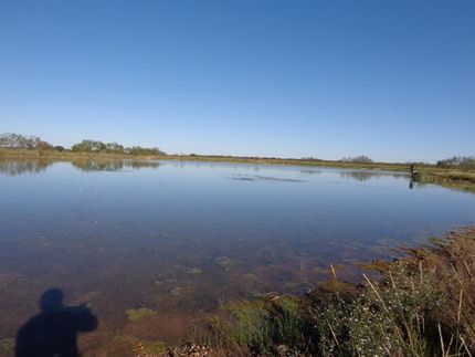 Ranch Property in Coleman County, Texas