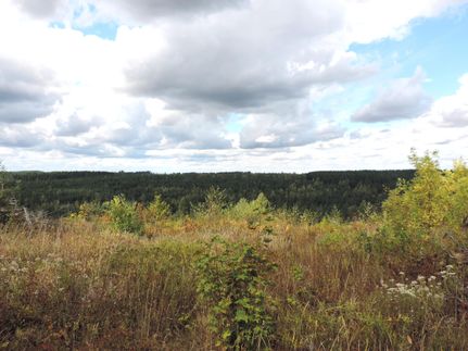 Farm Property in Pierce County, Washington