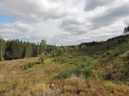 Farm Property in Pierce County, Washington