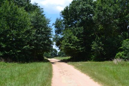 Timberland Property in Waller County, Texas