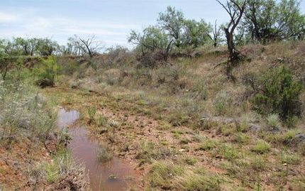 Farm Property in Kent County, Texas