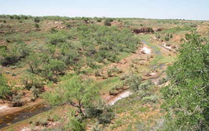 Undeveloped Land in Stonewall County, Texas