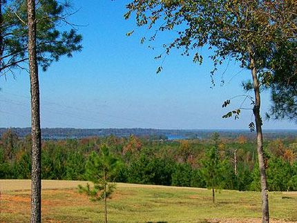 Farm Property in Wilcox County, Alabama