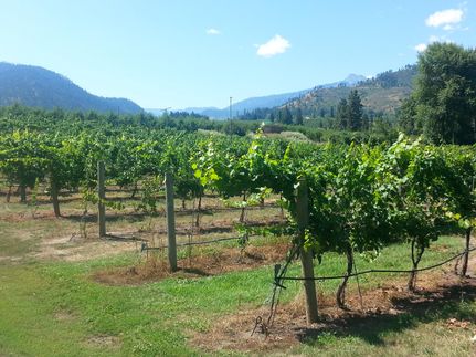 Property in Chelan County, Washington