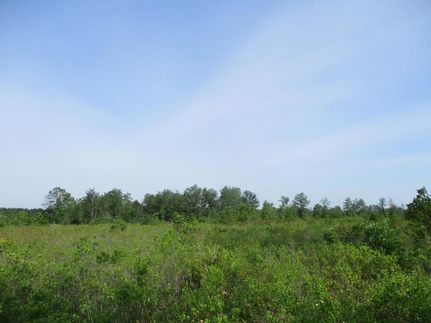 Residential Property in Pierce County, Georgia