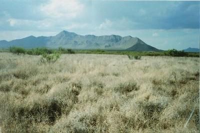 Farm Property in Presidio County, Texas