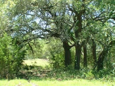 Farm Property in Burnet County, Texas