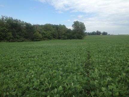 Ranch Property in McLean County, Illinois